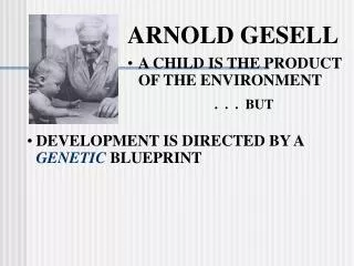 ARNOLD GESELL