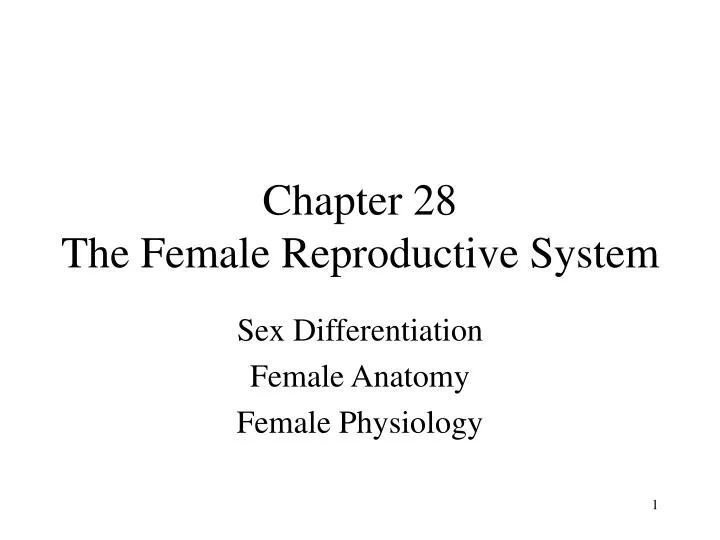 chapter 28 the female reproductive system