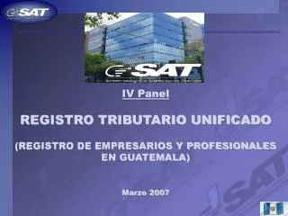 IV Panel REGISTRO TRIBUTARIO UNIFICADO (REGISTRO DE EMPRESARIOS Y PROFESIONALES EN GUATEMALA) Marzo 2007