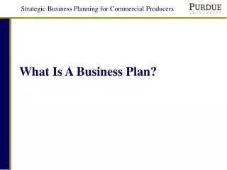 What Is A Business Plan?