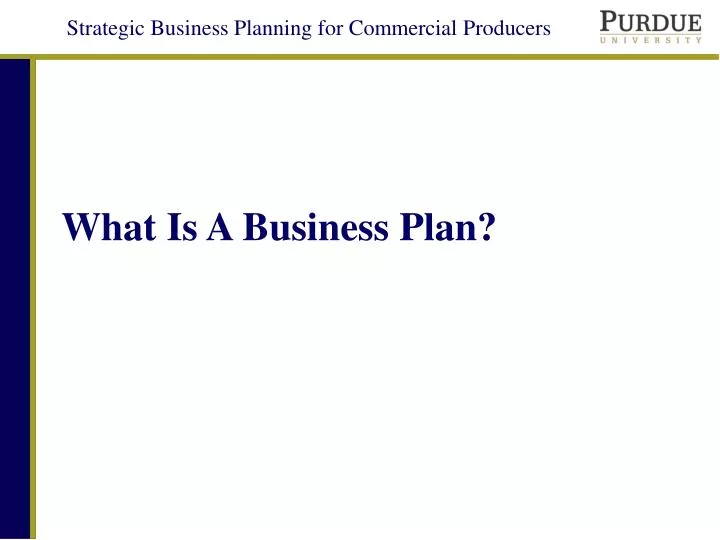 what is a business plan