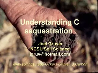 Understanding C sequestration