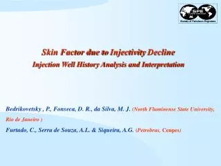 Skin Factor due to Injectivity Decline Injection Well History Analysis and Interpretation