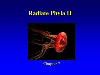 Radiate Phyla II
