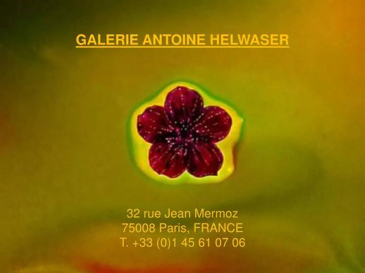 galerie antoine helwaser 32 rue jean mermoz 75008 paris france t 33 0 1 45 61 07 06