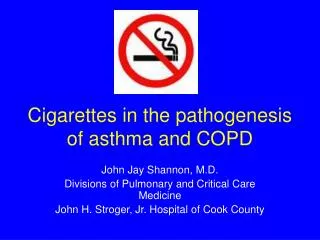 Cigarettes in the pathogenesis of asthma and COPD