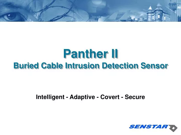 panther ii buried cable intrusion detection sensor