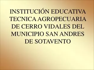 INSTITUCIÓN EDUCATIVA TECNICA AGROPECUARIA DE CERRO VIDALES DEL MUNICIPIO SAN ANDRES DE SOTAVENTO