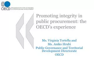 Promoting integrity in public procurement: the OECD’s experience