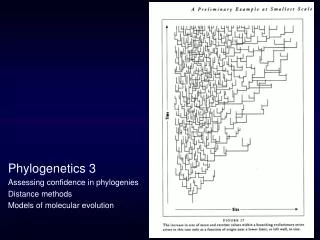 Phylogenetics 3 Assessing confidence in phylogenies Distance methods Models of molecular evolution