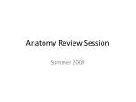 Anatomy Review Session - slide 1
