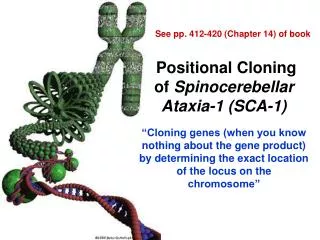 Positional Cloning of Spinocerebellar Ataxia-1 (SCA-1)