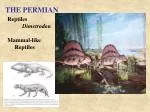 THE PERMIAN - slide 1