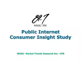 Public Internet Consumer Insight Study