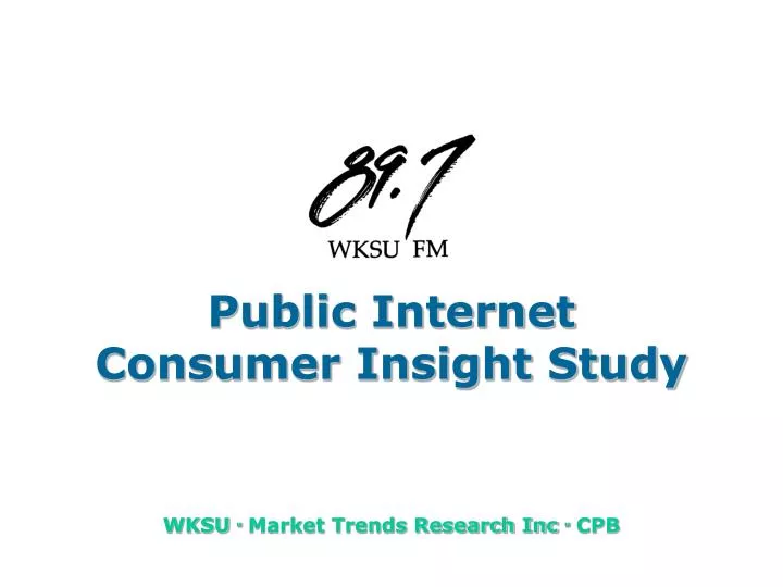 public internet consumer insight study