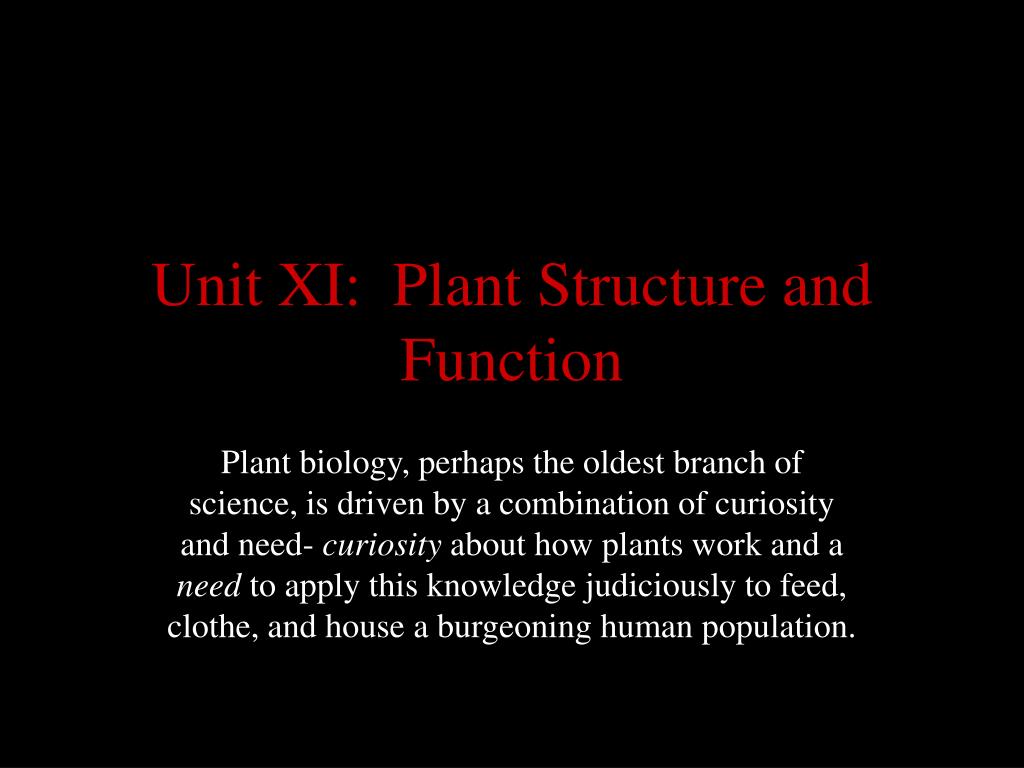PPT - Unit XI: Plant Structure and Function PowerPoint Presentation ...
