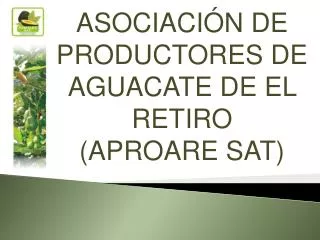 ASOCIACIÓN DE PRODUCTORES DE AGUACATE DE EL RETIRO (APROARE SAT)