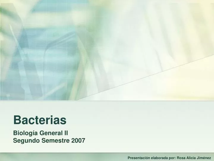 bacterias