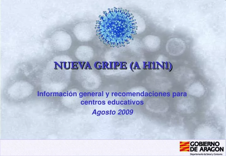 nueva gripe a h1n1