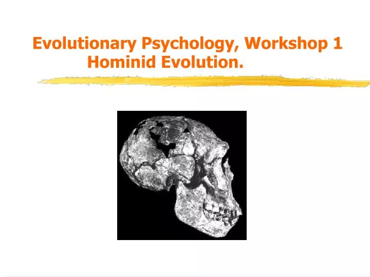 evolutionary psychology workshop 1 hominid evolution