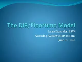 The DIR/Floortime Model