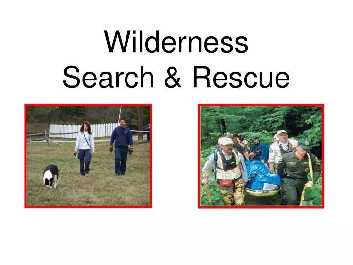 wilderness search rescue