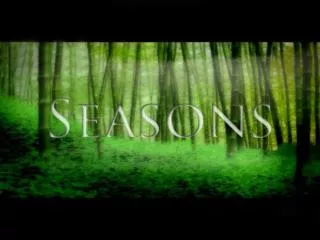 The Beauty of Seasons Third person action adventure Sad samurai in a vast forest Combat, control, camera, 		characters,