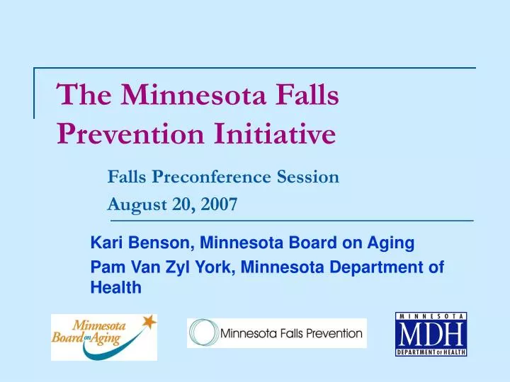 the minnesota falls prevention initiative falls preconference session august 20 2007