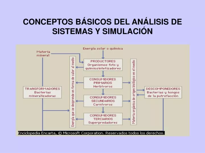conceptos b sicos del an lisis de sistemas y simulaci n