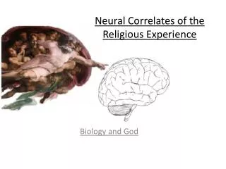 Neural Correlates of the Religious Experience