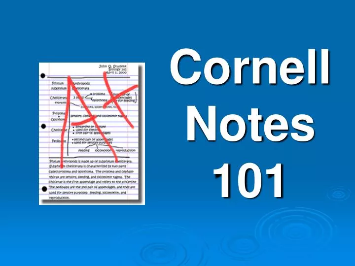 cornell notes 101