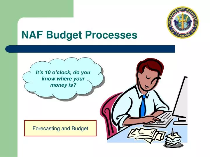 naf budget processes