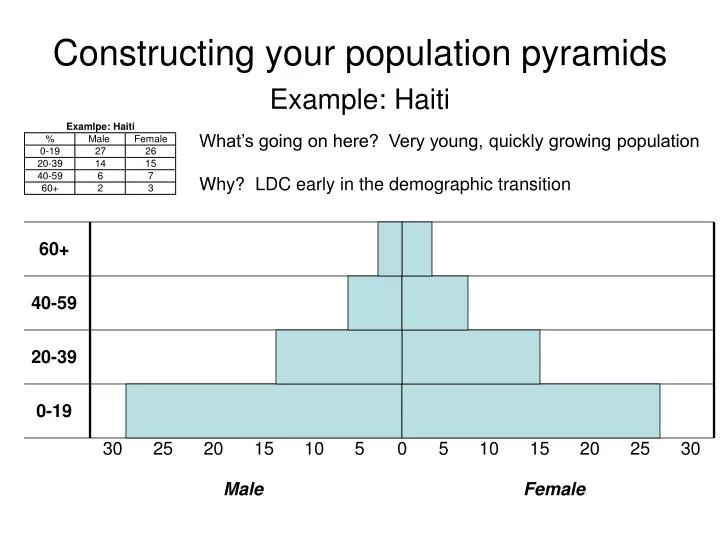 constructing your population pyramids
