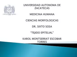 UNIVERSIDAD AUTONOMA DE ZACATECAS MEDICINA HUMANA CIENCIAS MORFOLOGICAS DR. SIXTO SOSA “TEJIDO EPITELIAL” KAROL MONTSERR