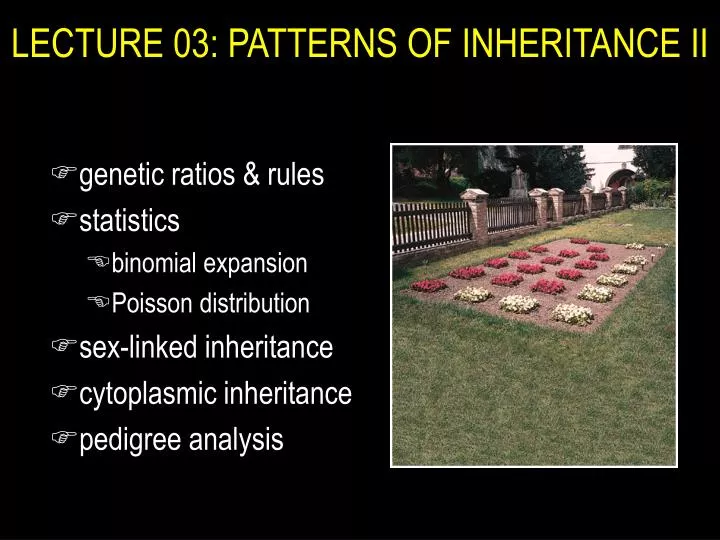 lecture 03 patterns of inheritance ii