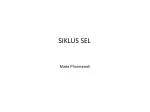 SIKLUS SEL - slide 1