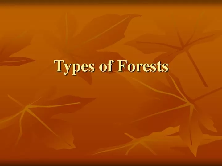 types of forests