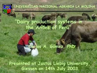 ”Dairy production systems in the Andes of Peru”