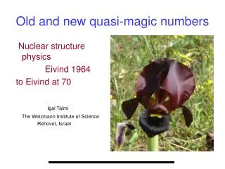 Old and new quasi-magic numbers