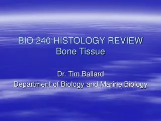 BIO 240 HISTOLOGY REVIEW Bone Tissue