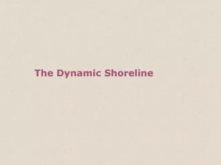 The Dynamic Shoreline