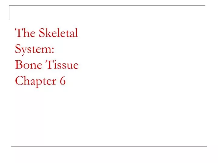 the skeletal system bone tissue chapter 6