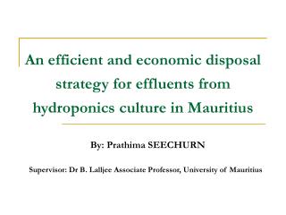 An efficient and economic disposal strategy for effluents from hydroponics culture in Mauritius