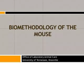 Biomethodology Of The Mouse