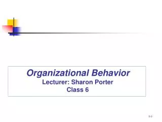 Organizational Behavior Lecturer: Sharon Porter Class 6