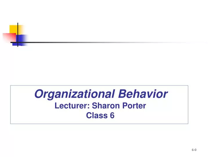organizational behavior lecturer sharon porter class 6