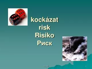 kock zat risk risiko