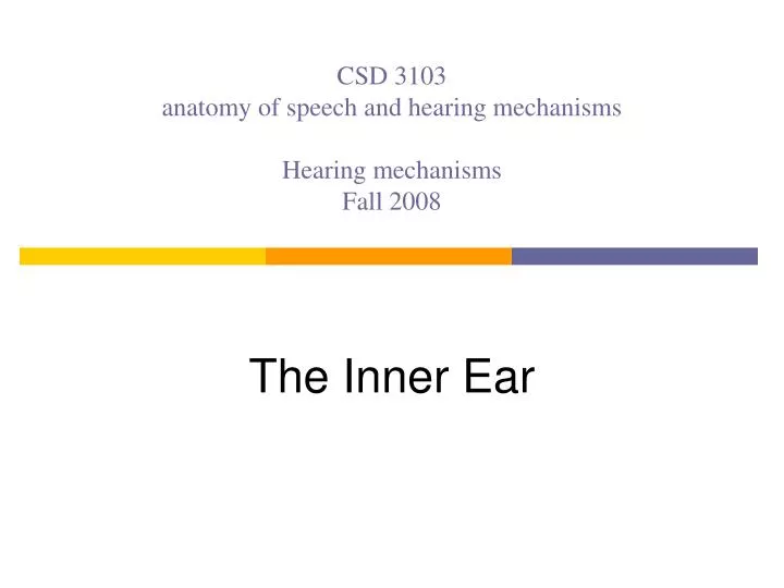 csd 3103 anatomy of speech and hearing mechanisms hearing mechanisms fall 2008