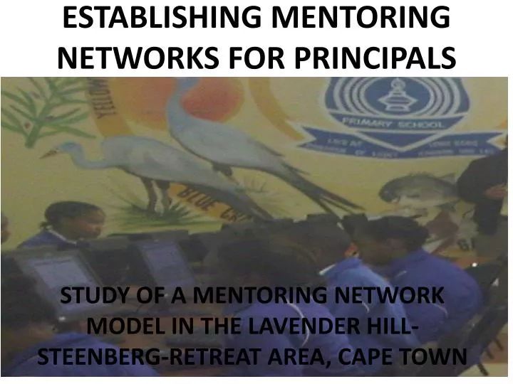 establishing mentoring networks for principals