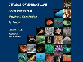 CENSUS OF MARINE LIFE All Program Meeting Mapping &amp; Visualization Pat Halpin November 2007 Auckland, New Zealand